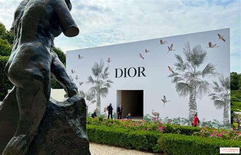 dior rodin museum|dior fashion show 2024.